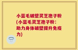 小蓝毛破壁灵芝孢子粉(小蓝毛灵芝孢子粉：助力身体破壁提升免疫力)