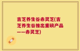 吉芝养生谷赤灵芝(吉芝养生谷推出重磅产品——赤灵芝)