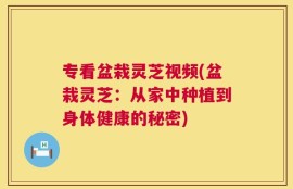 专看盆栽灵芝视频(盆栽灵芝：从家中种植到身体健康的秘密)