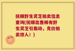 抚顺野生灵芝拍卖信息查询(抚顺出售稀有野生灵芝引轰动，竞价拍卖惊人！)
