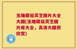 玉雕蘑菇灵芝图片大全大图(玉雕蘑菇灵芝图片库大全，高清大图供欣赏)