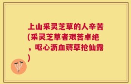 上山采灵芝草的人辛苦(采灵芝草者艰苦卓绝，呕心沥血薅草抢仙露)
