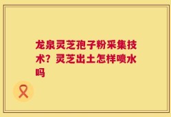 龙泉灵芝孢子粉采集技术？灵芝出土怎样喷水吗