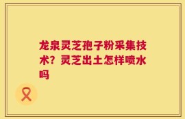 龙泉灵芝孢子粉采集技术？灵芝出土怎样喷水吗