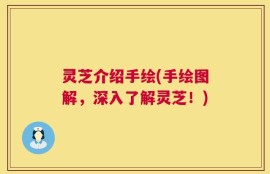 灵芝介绍手绘(手绘图解，深入了解灵芝！)