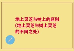 地上灵芝与树上的区别(地上灵芝与树上灵芝的不同之处)