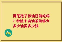 灵芝孢子榨油还能吃吗？种植十亩油茶能够大多少油买多少钱