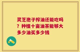 灵芝孢子榨油还能吃吗？种植十亩油茶能够大多少油买多少钱