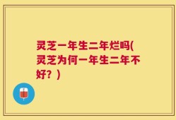 灵芝一年生二年烂吗(灵芝为何一年生二年不好？)