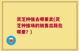 灵芝种植去哪里卖(灵芝种植场的销售出路在哪里？)