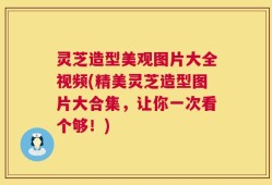 灵芝造型美观图片大全视频(精美灵芝造型图片大合集，让你一次看个够！)