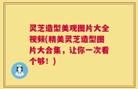 灵芝造型美观图片大全视频(精美灵芝造型图片大合集，让你一次看个够！)