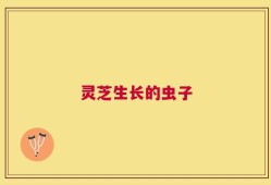 灵芝生长的虫子