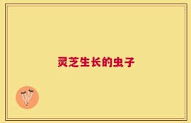 灵芝生长的虫子