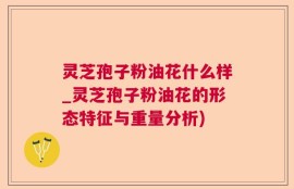 灵芝孢子粉油花什么样_灵芝孢子粉油花的形态特征与重量分析)