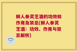 鲜人参灵芝酒的功效和作用及禁忌(鲜人参灵芝酒：功效、作用与禁忌解析)