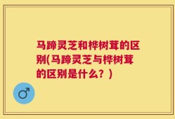马蹄灵芝和桦树茸的区别(马蹄灵芝与桦树茸的区别是什么？)