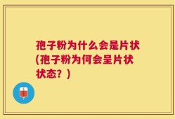 孢子粉为什么会是片状(孢子粉为何会呈片状状态？)