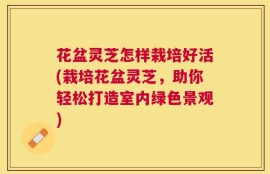 花盆灵芝怎样栽培好活(栽培花盆灵芝，助你轻松打造室内绿色景观)