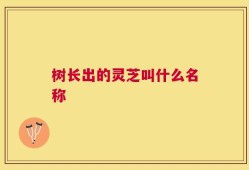 树长出的灵芝叫什么名称