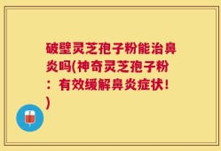 破壁灵芝孢子粉能治鼻炎吗(神奇灵芝孢子粉：有效缓解鼻炎症状！)
