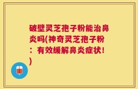 破壁灵芝孢子粉能治鼻炎吗(神奇灵芝孢子粉：有效缓解鼻炎症状！)