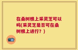 在桑树根上采灵芝可以吗(采灵芝是否可在桑树根上进行？)