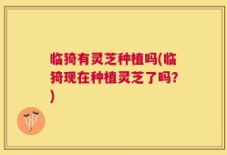 临猗有灵芝种植吗(临猗现在种植灵芝了吗？)