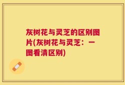 灰树花与灵芝的区别图片(灰树花与灵芝：一图看清区别)