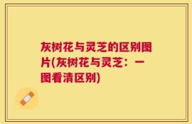 灰树花与灵芝的区别图片(灰树花与灵芝：一图看清区别)