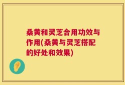 桑黄和灵芝合用功效与作用(桑黄与灵芝搭配的好处和效果)