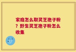 家庭怎么取灵芝孢子粉？野生灵芝孢子粉怎么收集