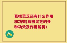葛根灵芝还有什么作用和功效(葛根灵芝的多种功效及作用解析)
