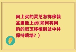 网上买的灵芝怎样移栽盆里能上水(如何将网购的灵芝移植到盆中并保持栽培？)