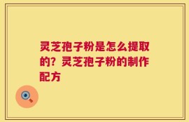 灵芝孢子粉是怎么提取的？灵芝孢子粉的制作配方