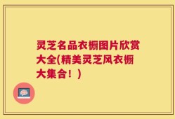 灵芝名品衣橱图片欣赏大全(精美灵芝风衣橱大集合！)