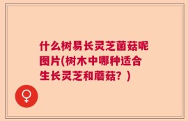 什么树易长灵芝菌菇呢图片(树木中哪种适合生长灵芝和蘑菇？)