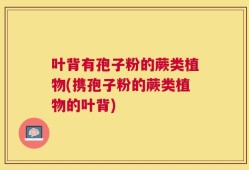 叶背有孢子粉的蕨类植物(携孢子粉的蕨类植物的叶背)