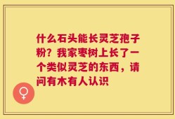 什么石头能长灵芝孢子粉？我家枣树上长了一个类似灵芝的东西，请问有木有人认识