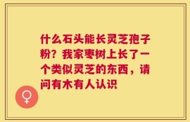 什么石头能长灵芝孢子粉？我家枣树上长了一个类似灵芝的东西，请问有木有人认识