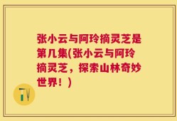 张小云与阿玲摘灵芝是第几集(张小云与阿玲摘灵芝，探索山林奇妙世界！)