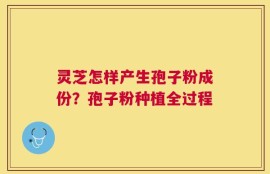 灵芝怎样产生孢子粉成份？孢子粉种植全过程