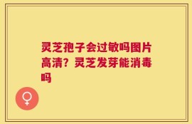 灵芝孢子会过敏吗图片高清？灵芝发芽能消毒吗