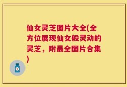 仙女灵芝图片大全(全方位展现仙女般灵动的灵芝，附最全图片合集)