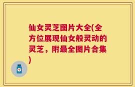 仙女灵芝图片大全(全方位展现仙女般灵动的灵芝，附最全图片合集)