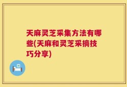天麻灵芝采集方法有哪些(天麻和灵芝采摘技巧分享)