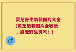 灵芝野生袋装图片大全(灵芝袋装图片全收录，感受野生灵气！)