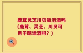 鹿茸灵芝川贝能泡酒吗(鹿茸、灵芝、川贝可用于酿造酒吗？)