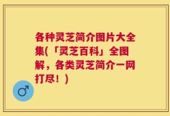 各种灵芝简介图片大全集(「灵芝百科」全图解，各类灵芝简介一网打尽！)