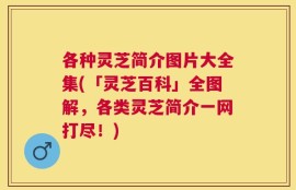 各种灵芝简介图片大全集(「灵芝百科」全图解，各类灵芝简介一网打尽！)